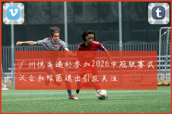 广州悦高递补参加2026中冠联赛武汉合和绿茵退出引发关注