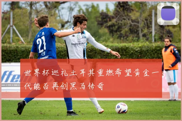 世界杯巡礼土耳其重燃希望黄金一代能否再创黑马传奇