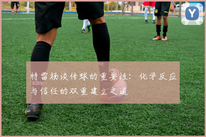 特雷杨谈传球的重要性：化学反应与信任的双重建立之道